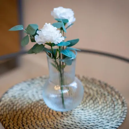 Ceylan Bel F2 à Appartamento